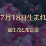 7月18日の誕生花と花言葉がコレ！性格や恋愛・仕事などの誕生日占いもご紹介！