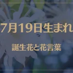 7月19日の誕生花と花言葉がコレ！性格や恋愛・仕事などの誕生日占いもご紹介！