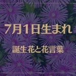 7月1日の誕生花と花言葉がコレ！性格や恋愛・仕事などの誕生日占いもご紹介！