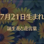 7月21日の誕生花と花言葉がコレ！性格や恋愛・仕事などの誕生日占いもご紹介！