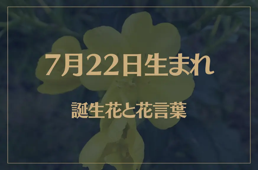 7月22日の誕生花と花言葉がコレ！性格や恋愛・仕事などの誕生日占いもご紹介！