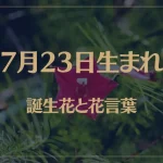 7月23日の誕生花と花言葉がコレ！性格や恋愛・仕事などの誕生日占いもご紹介！