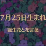 7月25日の誕生花と花言葉がコレ！性格や恋愛・仕事などの誕生日占いもご紹介！