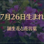 7月26日の誕生花と花言葉がコレ！性格や恋愛・仕事などの誕生日占いもご紹介！