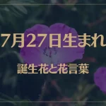 7月27日の誕生花と花言葉がコレ！性格や恋愛・仕事などの誕生日占いもご紹介！