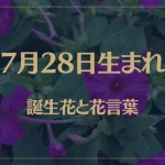7月28日の誕生花と花言葉がコレ！性格や恋愛・仕事などの誕生日占いもご紹介！