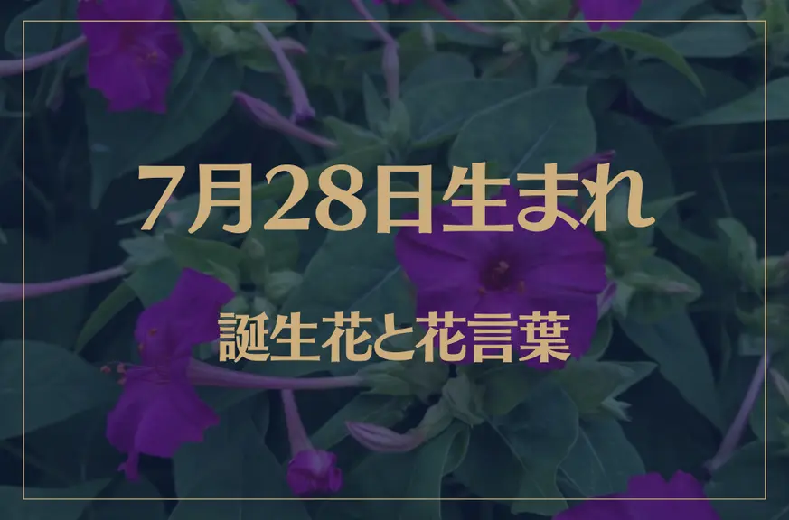 7月28日の誕生花と花言葉がコレ！性格や恋愛・仕事などの誕生日占いもご紹介！