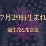 7月29日の誕生花と花言葉がコレ！性格や恋愛・仕事などの誕生日占いもご紹介！