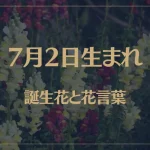 7月2日の誕生花と花言葉がコレ！性格や恋愛・仕事などの誕生日占いもご紹介！