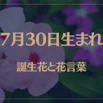 7月30日の誕生花と花言葉がコレ！性格や恋愛・仕事などの誕生日占いもご紹介！