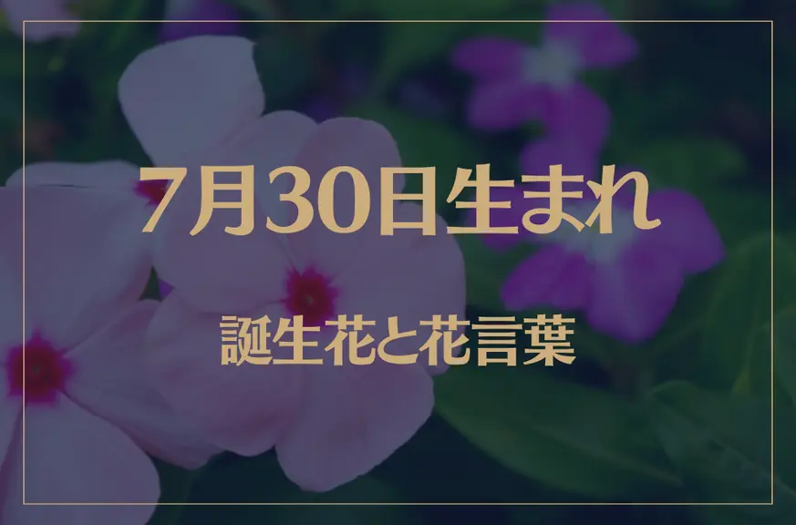 7月30日の誕生花と花言葉がコレ！性格や恋愛・仕事などの誕生日占いもご紹介！