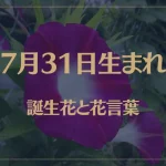7月31日の誕生花と花言葉がコレ！性格や恋愛・仕事などの誕生日占いもご紹介！