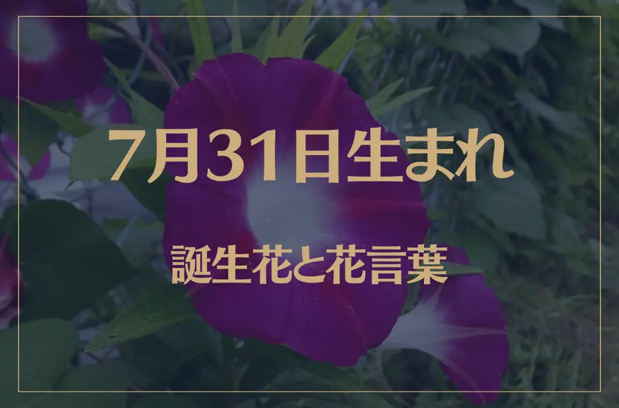 7月31日の誕生花と花言葉がコレ！性格や恋愛・仕事などの誕生日占いもご紹介！