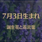 7月3日の誕生花と花言葉がコレ！性格や恋愛・仕事などの誕生日占いもご紹介！