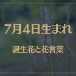 7月4日の誕生花と花言葉がコレ！性格や恋愛・仕事などの誕生日占いもご紹介！