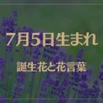 7月5日の誕生花と花言葉がコレ！性格や恋愛・仕事などの誕生日占いもご紹介！