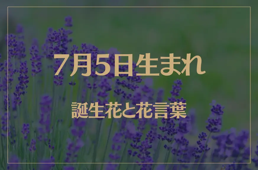 7月5日の誕生花と花言葉がコレ！性格や恋愛・仕事などの誕生日占いもご紹介！