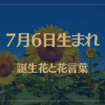7月6日の誕生花と花言葉がコレ！性格や恋愛・仕事などの誕生日占いもご紹介！