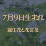 7月9日の誕生花と花言葉がコレ！性格や恋愛・仕事などの誕生日占いもご紹介！