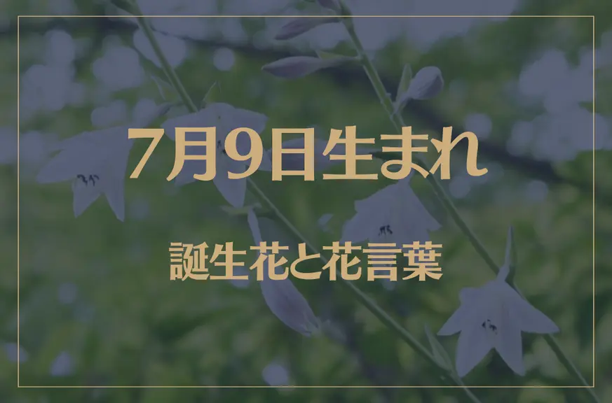 7月9日の誕生花と花言葉がコレ！性格や恋愛・仕事などの誕生日占いもご紹介！