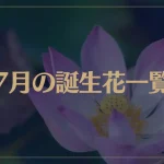 【7月の誕生花一覧】7月の誕生花・花言葉をご紹介！