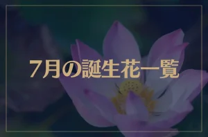 【7月の誕生花一覧】7月の誕生花・花言葉をご紹介!