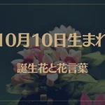 10月10日の誕生花と花言葉がコレ！性格や恋愛・仕事などの誕生日占いもご紹介！