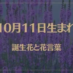 10月11日の誕生花と花言葉がコレ！性格や恋愛・仕事などの誕生日占いもご紹介！