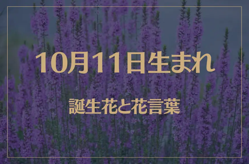 10月11日の誕生花と花言葉がコレ！性格や恋愛・仕事などの誕生日占いもご紹介！