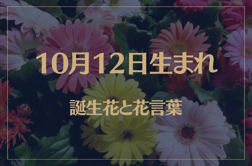 10月12日の誕生花と花言葉がコレ！性格や恋愛・仕事などの誕生日占いもご紹介！