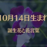 10月14日の誕生花と花言葉がコレ！性格や恋愛・仕事などの誕生日占いもご紹介！