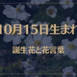 10月15日の誕生花と花言葉がコレ！性格や恋愛・仕事などの誕生日占いもご紹介！