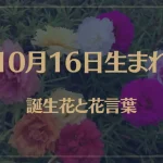 10月16日の誕生花と花言葉がコレ！性格や恋愛・仕事などの誕生日占いもご紹介！