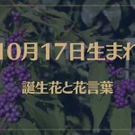 10月17日の誕生花と花言葉がコレ！性格や恋愛・仕事などの誕生日占いもご紹介！