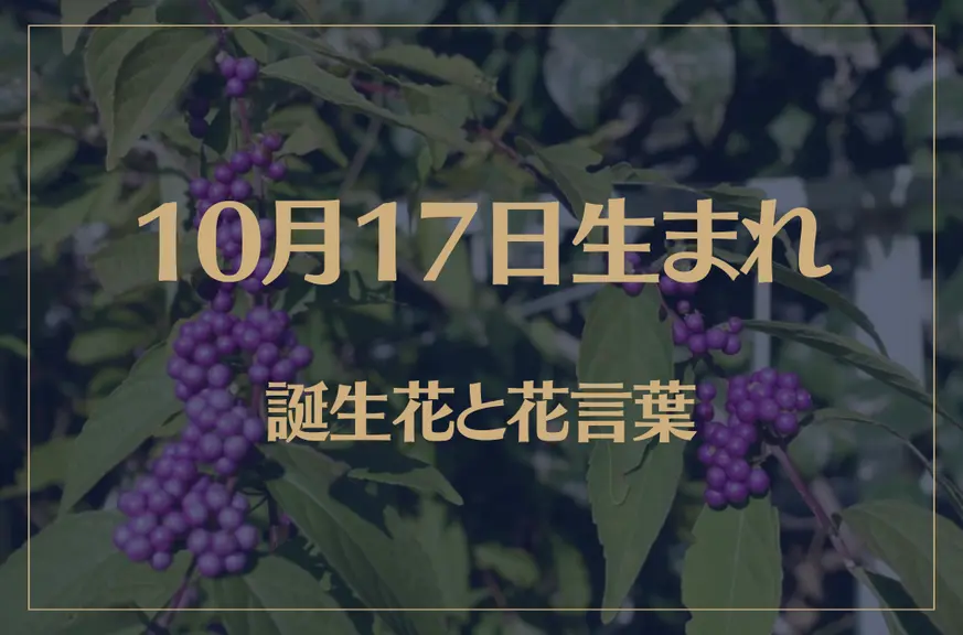 10月17日の誕生花と花言葉がコレ！性格や恋愛・仕事などの誕生日占いもご紹介！