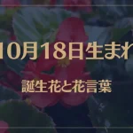 10月18日の誕生花と花言葉がコレ！性格や恋愛・仕事などの誕生日占いもご紹介！