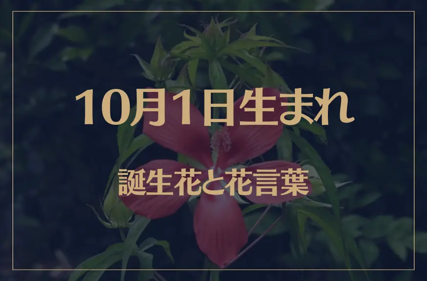 10月1日の誕生花と花言葉がコレ！性格や恋愛・仕事などの誕生日占いもご紹介！