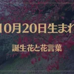 10月20日の誕生花と花言葉がコレ！性格や恋愛・仕事などの誕生日占いもご紹介！