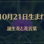 10月21日の誕生花と花言葉がコレ！性格や恋愛・仕事などの誕生日占いもご紹介！