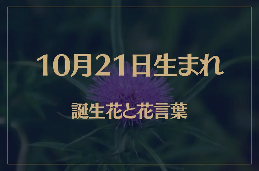 10月21日の誕生花と花言葉がコレ！性格や恋愛・仕事などの誕生日占いもご紹介！