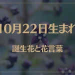 10月22日の誕生花と花言葉がコレ！性格や恋愛・仕事などの誕生日占いもご紹介！