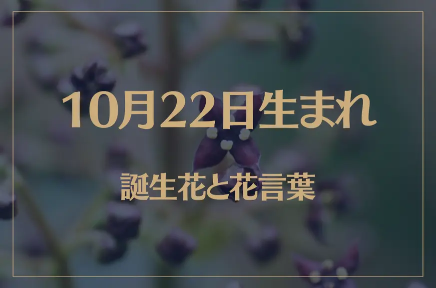 10月22日の誕生花と花言葉がコレ！性格や恋愛・仕事などの誕生日占いもご紹介！