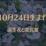 10月24日の誕生花と花言葉がコレ！性格や恋愛・仕事などの誕生日占いもご紹介！