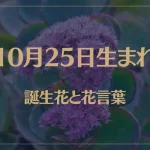 10月25日の誕生花と花言葉がコレ！性格や恋愛・仕事などの誕生日占いもご紹介！