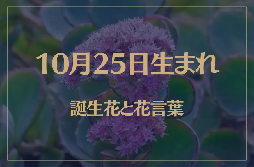 10月25日の誕生花と花言葉がコレ！性格や恋愛・仕事などの誕生日占いもご紹介！