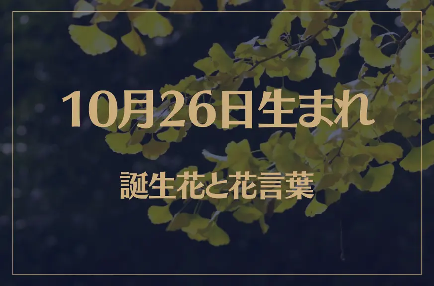 10月26日の誕生花と花言葉がコレ！性格や恋愛・仕事などの誕生日占いもご紹介！