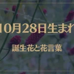10月28日の誕生花と花言葉がコレ！性格や恋愛・仕事などの誕生日占いもご紹介！