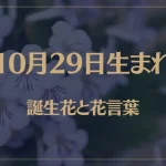 10月29日の誕生花と花言葉がコレ！性格や恋愛・仕事などの誕生日占いもご紹介！