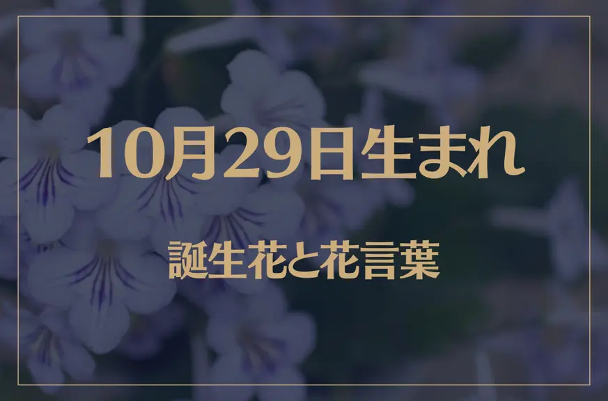 10月29日の誕生花と花言葉がコレ！性格や恋愛・仕事などの誕生日占いもご紹介！