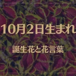 10月2日の誕生花と花言葉がコレ！性格や恋愛・仕事などの誕生日占いもご紹介！